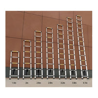 KRUGER Stainless Steel Single Side Telescopic Ladder