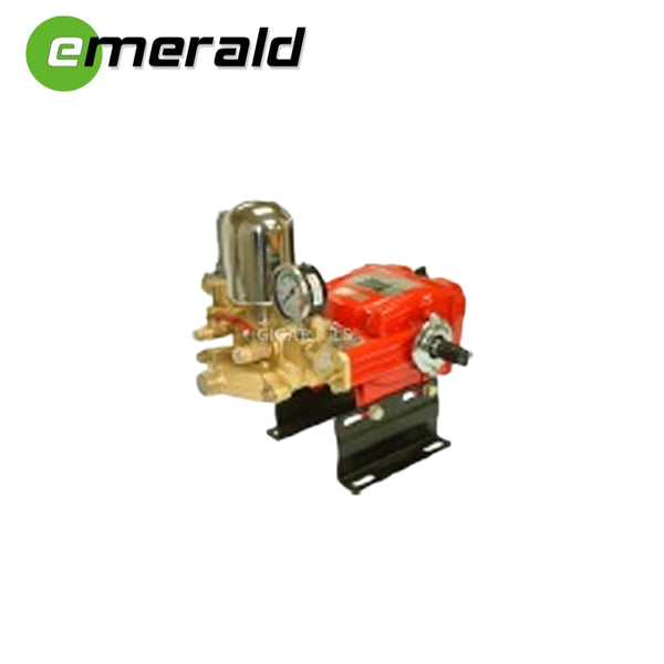Emerald Manual Type Power Sprayer with 1.5 HP Electric Motor ( ES-22EI )