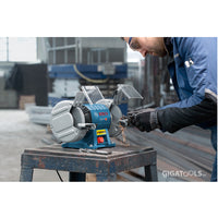 Bosch GBG 35-15 Professional Double-Wheeled Bench Grinder (350W) - GIGATOOLS.PH